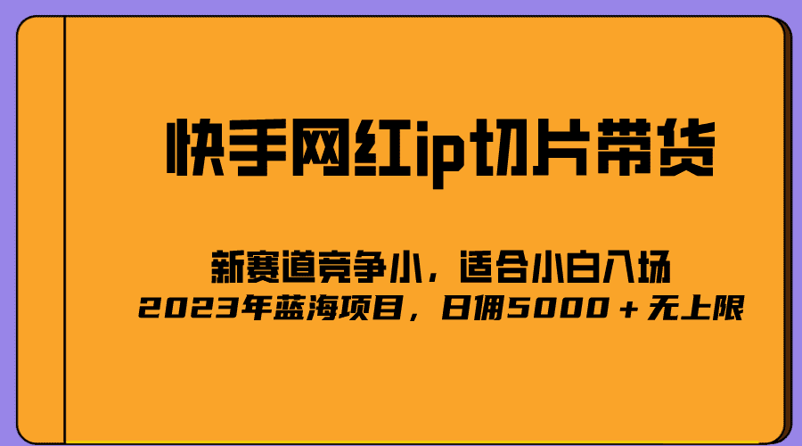 （5346期）2023爆火的快手网红IP切片，号称日佣5000＋的蓝海项目，二驴的独家授权-安索博客网