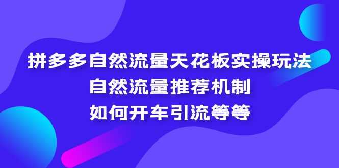 （5327期）拼多多自然流量天花板实操玩法：自然流量推荐机制，如何开车引流等等-安索博客网