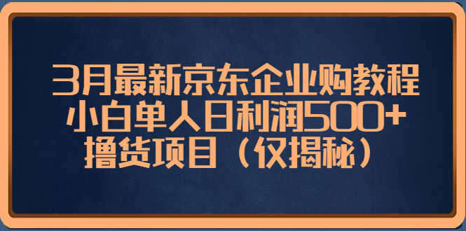 （5277期）3月最新京东企业购教程，小白单人日利润500+撸货项目（仅揭秘）-安索博客网