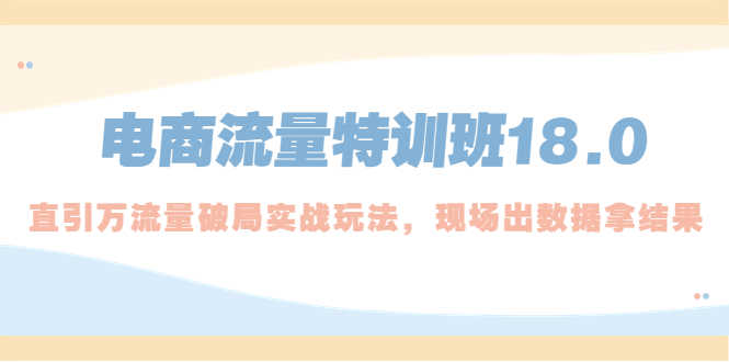 （5232期）电商流量特训班18.0，直引万流量破局实操玩法，现场出数据拿结果-安索博客网