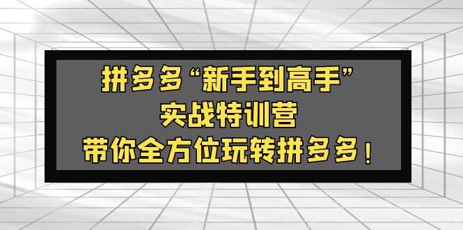（5173期）拼多多“新手到高手”实战特训营：带你全方位玩转拼多多！-安索博客网