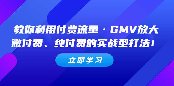 （5106期）教你利用付费流量·GMV放大，微付费、纯付费的实战型打法！-安索博客网