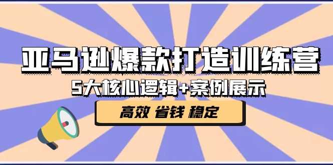 （5107期）亚马逊爆款打造训练营：5大核心逻辑+案例展示 打造爆款链接 高效 省钱 稳定-安索博客网
