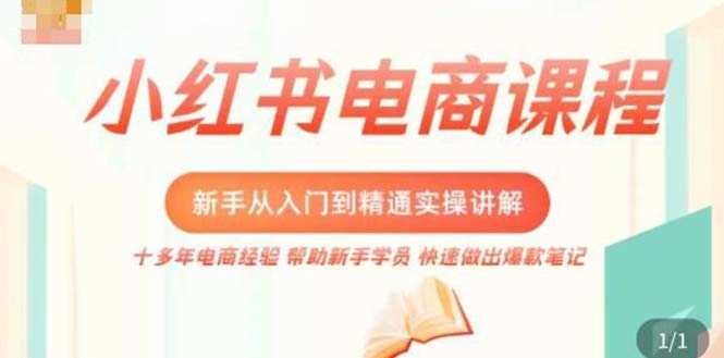 （5049期）小红书电商新手入门到精通实操课，从入门到精通做爆款笔记，开店运营-安索博客网