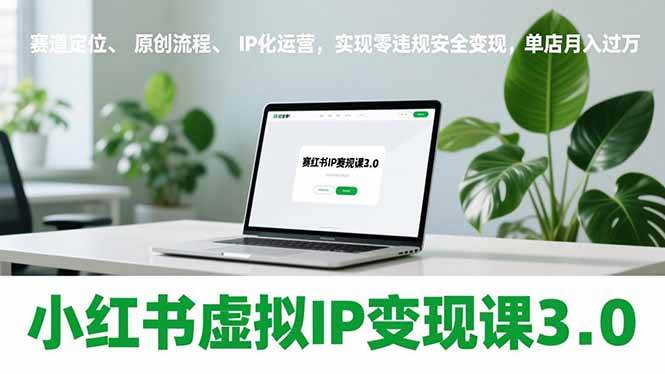 （17029期）小红书虚拟IP变现课3.0：找准赛道、原创流程、IP化运营，零违规安全赚钱，单店月入过万-安索博客网