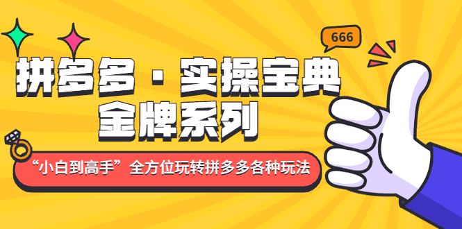 （4934期）拼多多·实操宝典：金牌系列“小白到高手”带你全方位玩转拼多多各种玩法-安索博客网