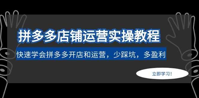 （4883期）拼多多店铺运营实操教程：快速学会拼多多开店和运营，少踩坑，多盈利-安索博客网