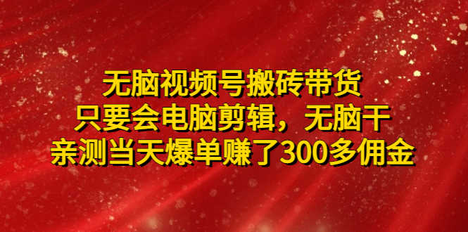 （4862期）无脑视频号搬砖带货，只要会电脑剪辑，无脑干，亲测当天爆单赚了300多佣金-安索博客网