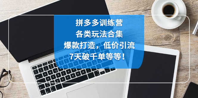 （4693期）拼多多训练营：各玩法合集，爆款打造，低价引流，7天破千单等等！-安索博客网