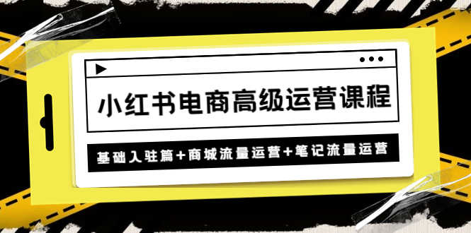 （4638期）小红书电商高级运营课程：基础入驻篇+商城流量运营+笔记流量运营-安索博客网