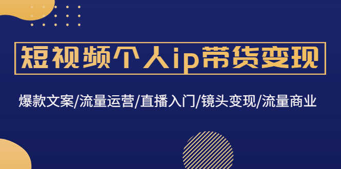 （4595期）短视频个人ip带货变现：爆款文案/流量运营/直播入门/镜头变现/流量商业-安索博客网