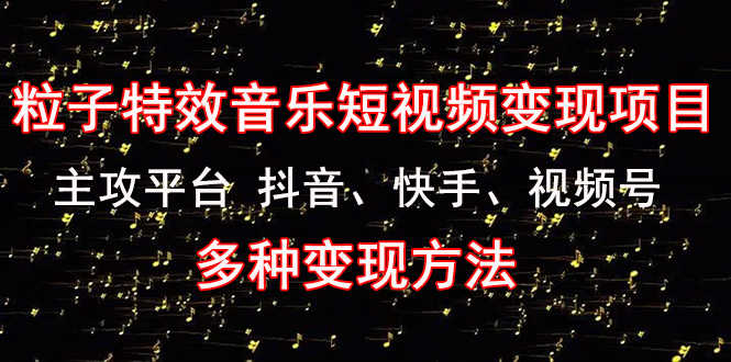 （4586期）《粒子特效音乐短视频变现项目》主攻平台 抖音、快手、视频号 多种变现方法-安索博客网