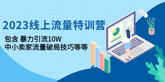 （4567期）2023线上流量特训营：包含暴力引流10W+中小卖家流量破局技巧等等-安索博客网