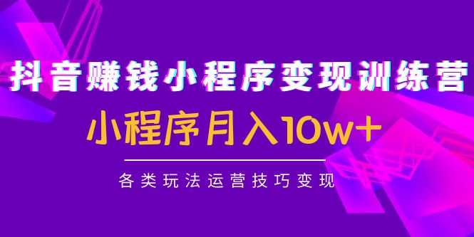 （4511期）抖音赚钱小程序变现训练营：小程序月入10w+各类玩法运营技巧变现-安索博客网
