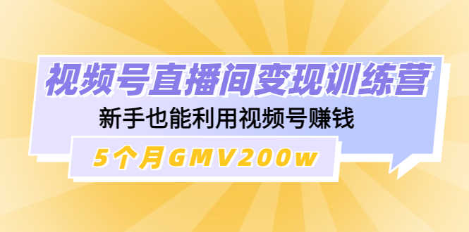 （4468期）视频号直播间变现训练营：新手也能利用视频号赚钱，5个月GMV200w-安索博客网