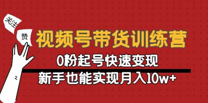 （4446期）视频号带货训练营：0粉起号快速变现，新手也能实现月入10w+-安索博客网