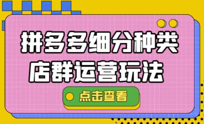 （4373期）拼多多细分种类店群运营玩法3.0，11月最新玩法，小白也可以操作-安索博客网