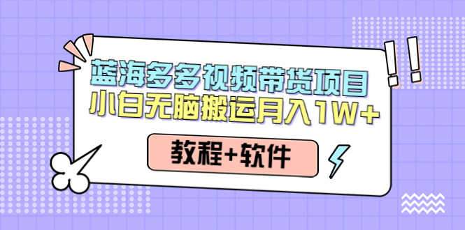 （4343期）人人都能操作的蓝海多多视频带货项目 小白无脑搬运月入10000+（教程+软件）-安索博客网