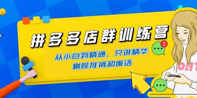 （4318期）拼多多店群训练营：从小白到精通，只讲精华，剔除推销和废话-安索博客网