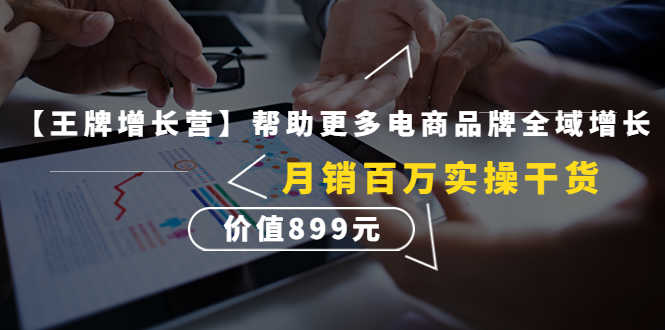 （4264期）【王牌增长营】帮助更多电商品牌全域增长，月销百万实操干货，价值899元-安索博客网