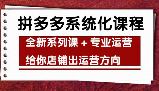 （4259期）车神陪跑，拼多多系统化课程，全新系列课+专业运营给你店铺出运营方向-安索博客网