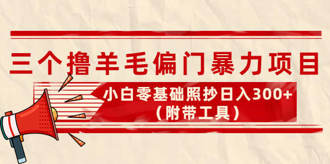 （4110期）外面卖998的三个撸羊毛偏门暴力项目，小白零基础照抄日入300+（附带工具）-安索博客网
