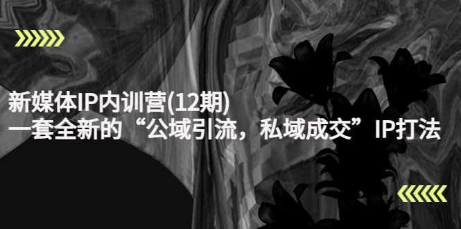 （4103期）新媒体IP内训营(12期)，一套全新的“公域引流，私域成交”IP打法，直接带走-安索博客网