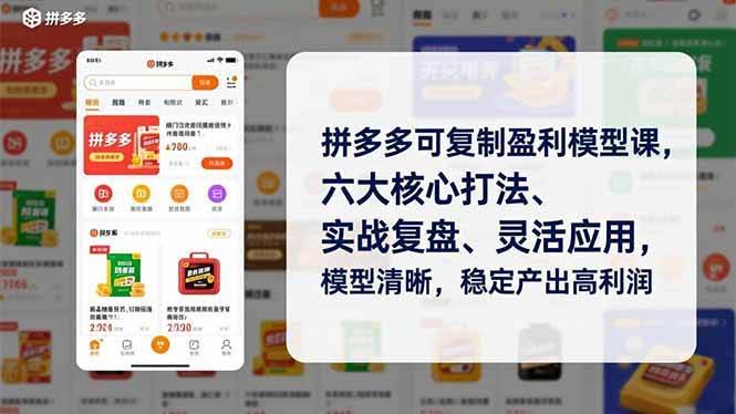 （16952期）拼多多可复制赚钱模型课，六大核心打法、实战复盘、灵活套用，模型清楚，稳定赚高利润-安索博客网