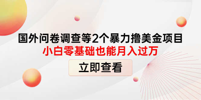 （4062期）国外问卷调查等2个暴力撸美金项目，小白零基础也能月入过万-安索博客网