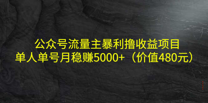 （4011期）公众号流量主暴利撸收益项目，单人单号月稳赚5000+（价值480元）-安索博客网