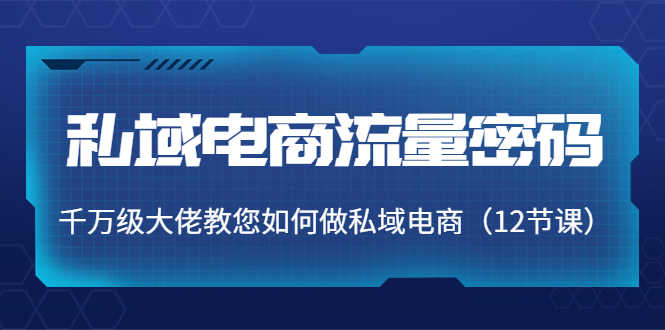 （3977期）私域电商流量密码：千万级大佬教您如何做私域电商（12节课）-安索博客网