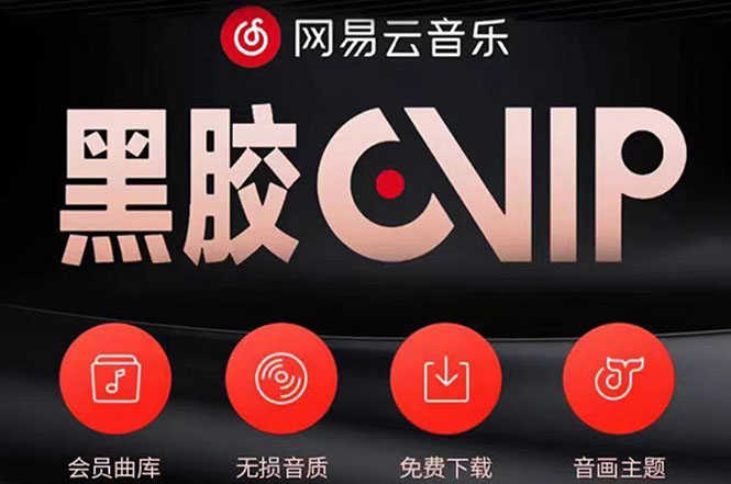 （3942期）网易云撸黑胶年卡及变现方法，收益可无限放大-安索博客网