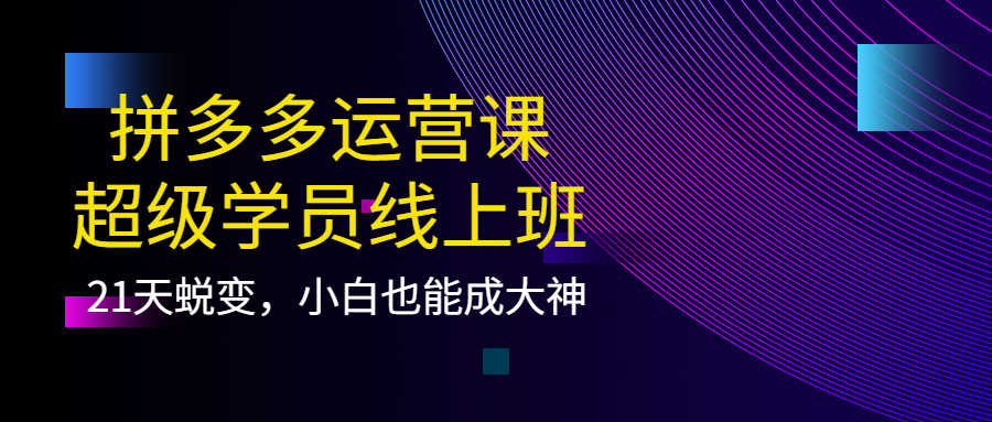 （3929期）拼多多运营课：超级学员线上班，21天蜕变，小白也能成大神-安索博客网