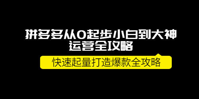 （3884期）拼多多从0起步小白到大神运营全攻略，快速起量打造10W+爆款全攻略！-安索博客网