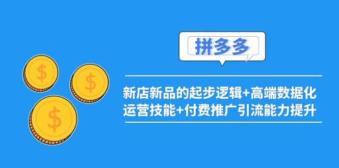 （3824期）2022拼多多：新店新品的起步逻辑+高端数据化运营技能+付费推广引流能力提升-安索博客网