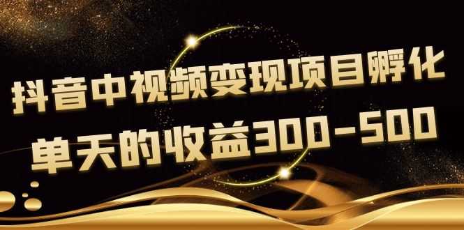 （3794期）黄岛主《抖音中视频变现项目孵化》单天的收益300-500 操作简单粗暴-安索博客网
