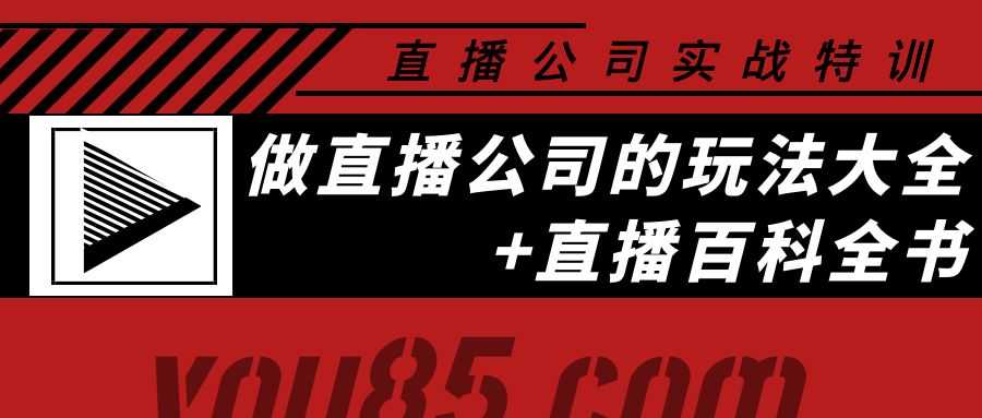 （3799期）老陈·直播公司实战特训：做直播公司的玩法大全+直播百科全书-安索博客网