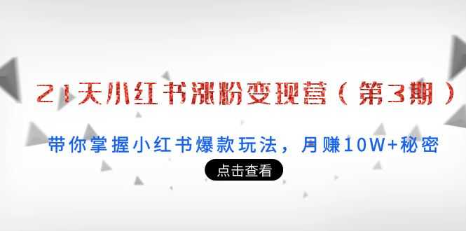 （3795期）21天小红书涨粉变现营（第3期）：带你掌握小红书爆款玩法，月赚10W+秘密-安索博客网