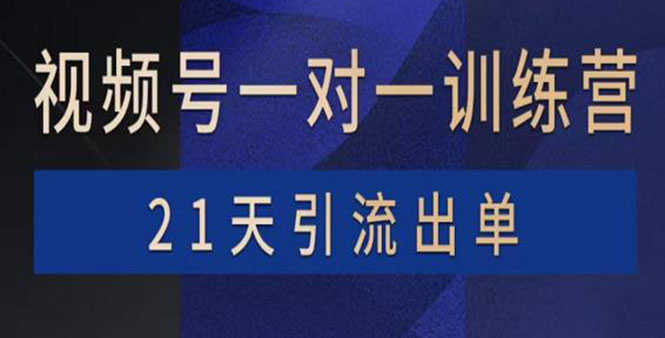（3678期）视频号训练营：带货，涨粉，直播，游戏，四大变现新方向，21天引流出单-安索博客网