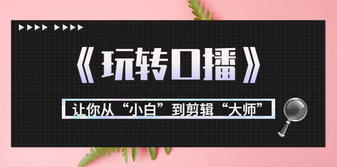 （3571期）月营业额700万+大佬教您《玩转口播》让你从“小白”到剪辑“大师”-安索博客网
