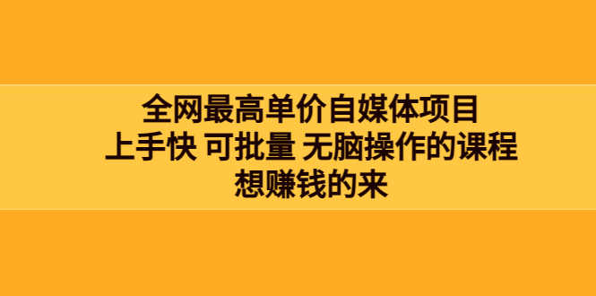 （3557期）全网最单高价自媒体项目：上手快 可批量 无脑操作的课程，想赚钱的来-安索博客网