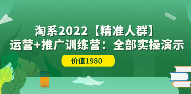 （3516期）淘系2022【精准人群】运营+推广训练营：全部实操演示-安索博客网