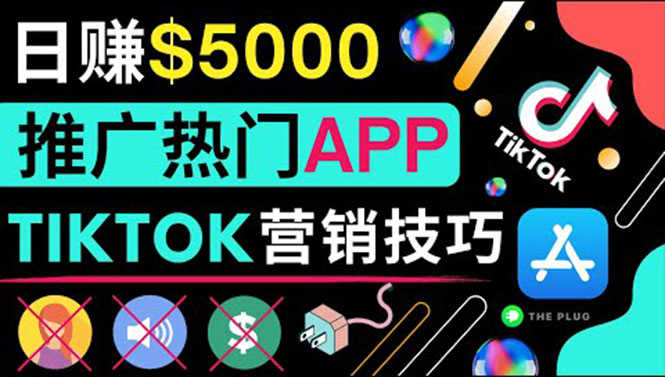 （3486期）无需露脸，无需录音，无需投资，TIKTOK上传短视频，最高日入5000美元-安索博客网