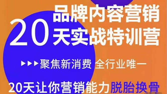 （3461期）《内容营销实操特训营》20天让你营销能力脱胎换骨（价值3999）-安索博客网