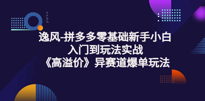 （3435期）逸风-拼多多零基础新手小白入门到玩法实战《高溢价》异赛道爆单玩法实操课-安索博客网