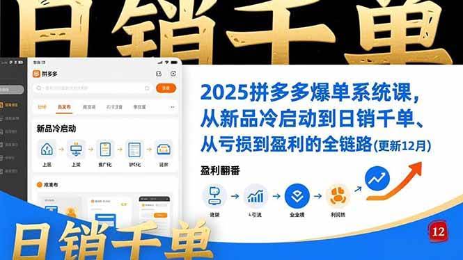 2025拼多多爆单系统课，让你从零开始卖爆、从亏到赚的全流程（12月更新版）-安索博客网