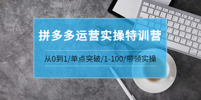 （3417期）青云:拼多多运营实操特训营：从0到1/单点突破/1-100/带领实操-安索博客网