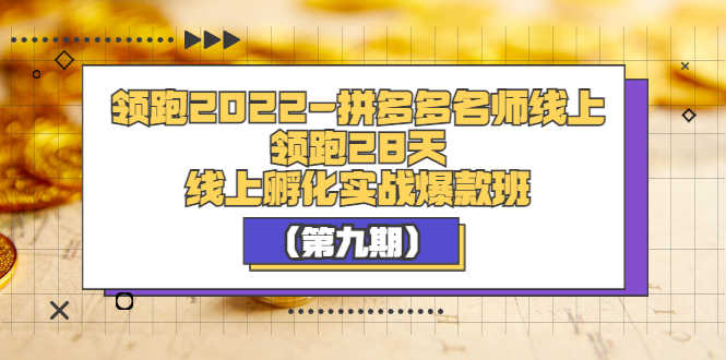 （3370期）领跑2022-拼多多名师线上领跑28天，线上孵化实战爆款班（第九期）-安索博客网