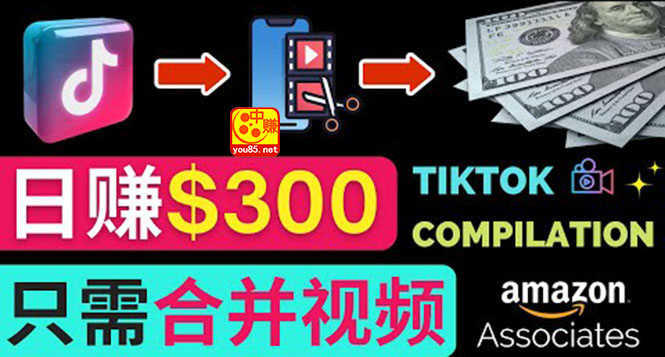 （3360期）搬运Tiktok短视频到Youtube赚钱，只需下载，合并视频，日赚300美元-安索博客网