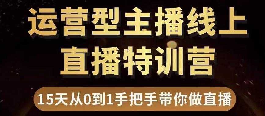 （3285期）慧哥直播电商运营型主播特训营，0基础15天手把手带你做直播带货-安索博客网
